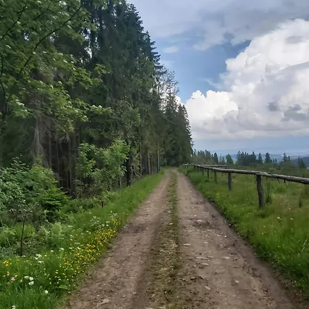 Дом отдыха Ponad Gorami Гличарув